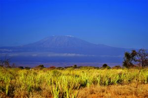 7 Day Machame Route Kilimanjaro Trek with Chaga Adventures