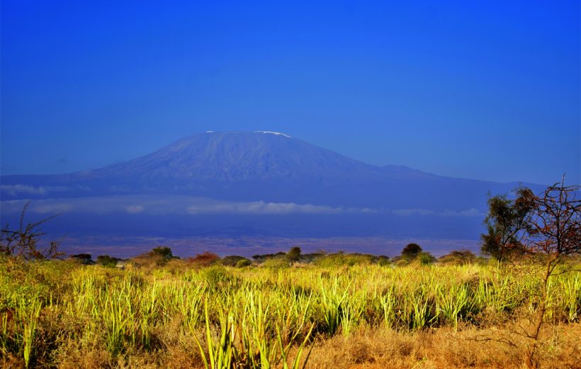 7 Day Machame Route Kilimanjaro Trek with Chaga Adventures